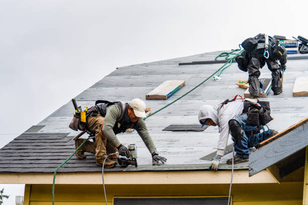 Professional Gutter Installation technician working in Grandview, TX